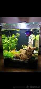 Akvárium 20l