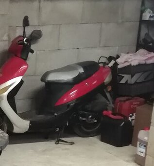 Adamoto 50