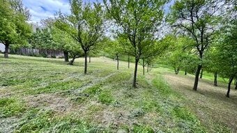 Stavebný pozemok 1140 m2, Brestovec u Ticháčkov