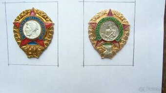 Odznaky Vzorný vojak