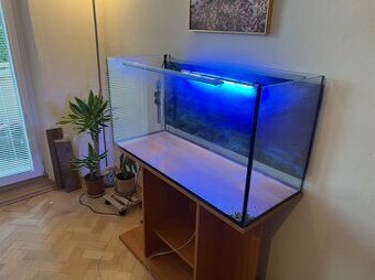 200 litrové akvárium + komplet zariadené s rybickami