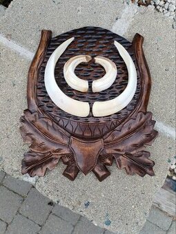 Trofej diviak kly podložka