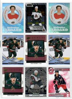 Hokejove karticky Slovakov v NHL na predaj alebo vymenu