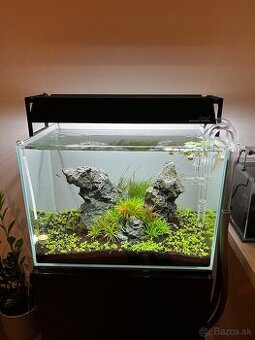 Predám IWAGUMI akvárium 52 l – optiwhite, Chihiros WRGB II S