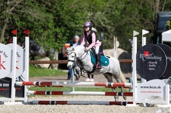 Predam sportoveho pony