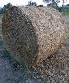 Balíky pšeničnej slamy