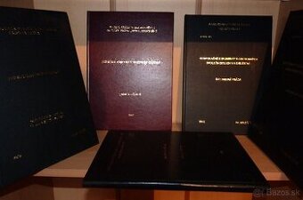 Profesionálne vypracovanie diplomovej práce PR., SP. a iné