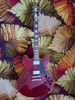 D'Angelico Premier DC Burnt Red Semiakustická gitara