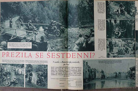 Stadion 1956, 65