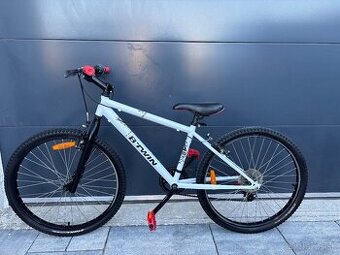Rockrider B twin 300 24”