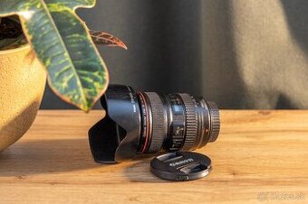 Canon EF 24-105mm f/4 L IS USM
