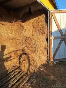 Predám seno malé balíky