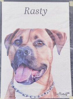 Plechové obrazy dog monenst