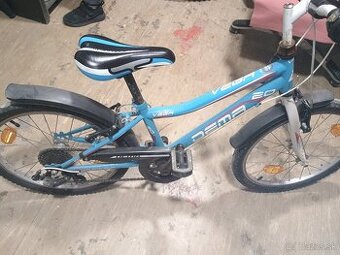 Dema Vega 20'