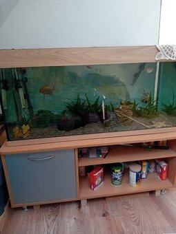 Predam akvariu.