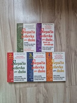 Seria knih Slepacia polievka