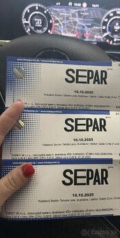 Separ koncert Golden circle 10.10.2025 Tehelné pole