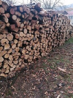 Predám palivové drevo