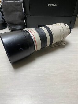 Canon EF 100-400mm f4.5-5.6 L IS