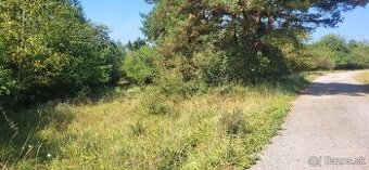🌲 Pozemok na predaj – Zlatnícka dolina 🌲