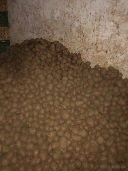 Predám zemiaky na zimné uskladnenie