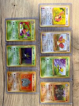 Pokémon BASE SET JUNGLE JPN