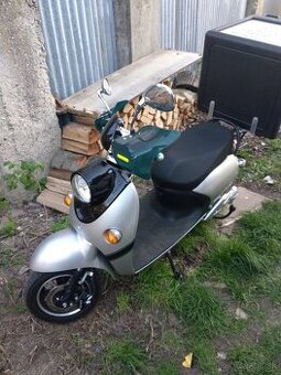 Chaoya model 2022