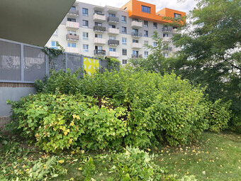 Údržba pozemkov a záhrad, kosenie