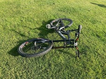 Specialized