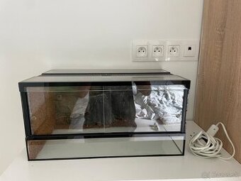 Terarium