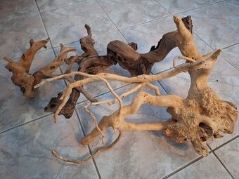 Korene do terária/akvária