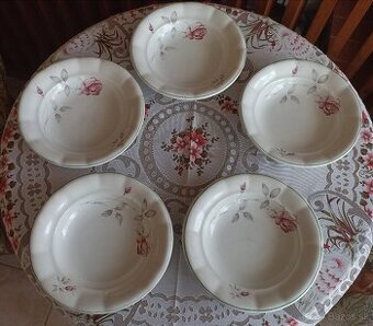 Hrubostenné taniere Ditmar- urbach