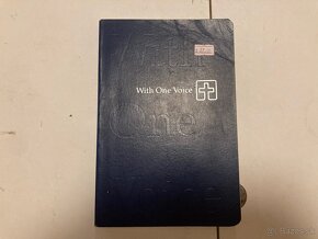 Cudzojazyčná literatúra 2