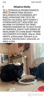 Prosím o prevoz maciciek