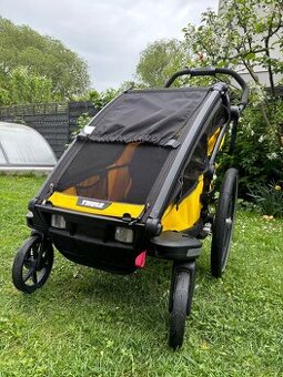 Thule chariot 2