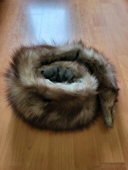 Nový nenosený goliér zo striebornej líšky