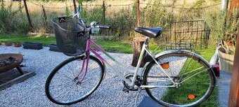 Bicykel Eska Progres