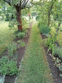 Záhrada s chatkou – Kolónia Hviezda, Martin (281 m2)