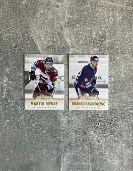 Hokejové kartičky Slováci v CZ