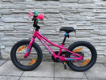 SPECIALIZED Riprock Coaster 16