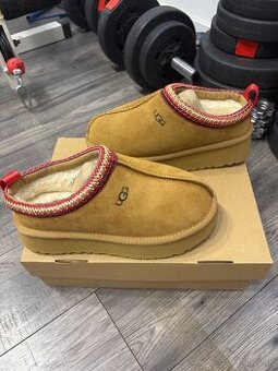 Ugg tazz chestnut 39