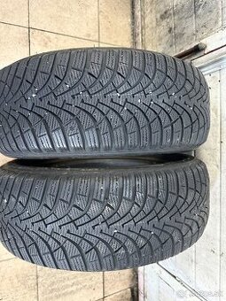 205/55R16 zimne