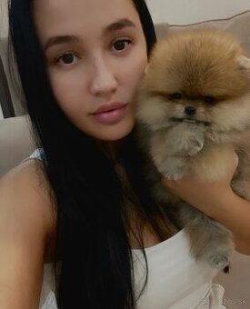 Rozkošny Pomeranian