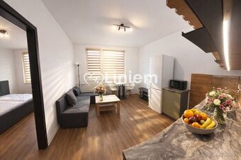 Prenájom 1-izbového bytu - Nitra, Alexyho ulica