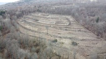 Predám pozemok (2,9ha) so súpisným číslom v obci Stará Huta