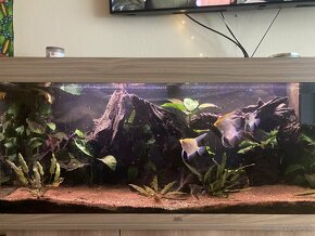 AKTUALNE Akvarium Juwel Rio 240 l