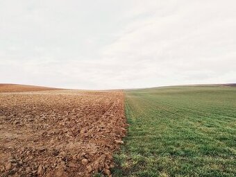 Orna pôda Košúty Cierny Brod okres Galanta