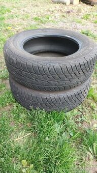 Zimné PN195/65R15