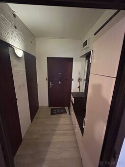 1-izbový byt v Leviciach na prenájom