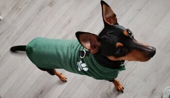 Ratlík bude mať 2 roky - 1